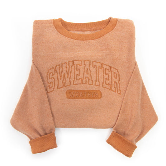 Embroidered Sweater Weather Fuzzy Sweatshirt